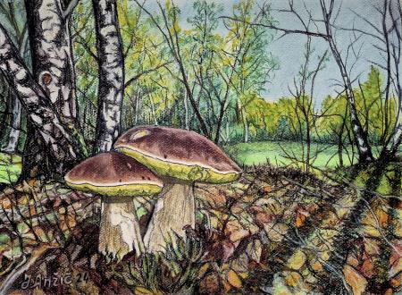 Jurčka (Pastel - 40x30) Jožef Anžič